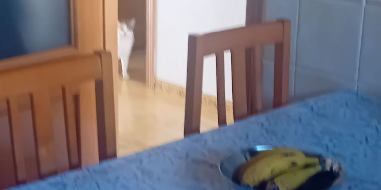 20250404_165529