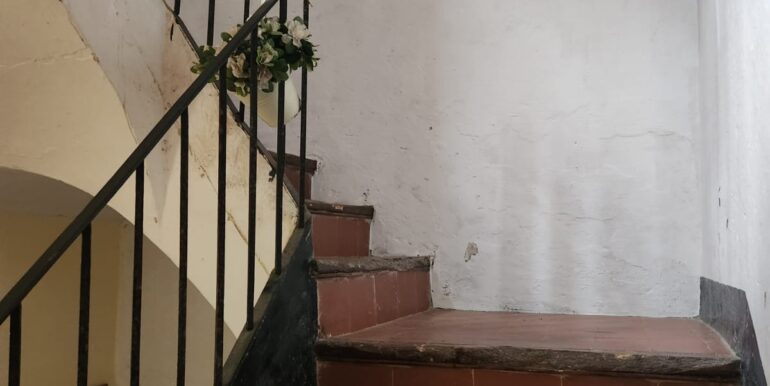 e8923638-2d06-4fd0-a6e3-41d0ae184186