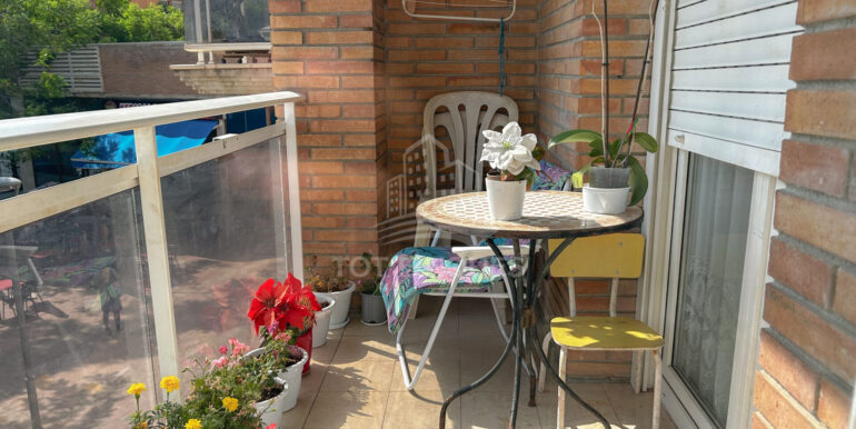 IMG_6156 3_resultado